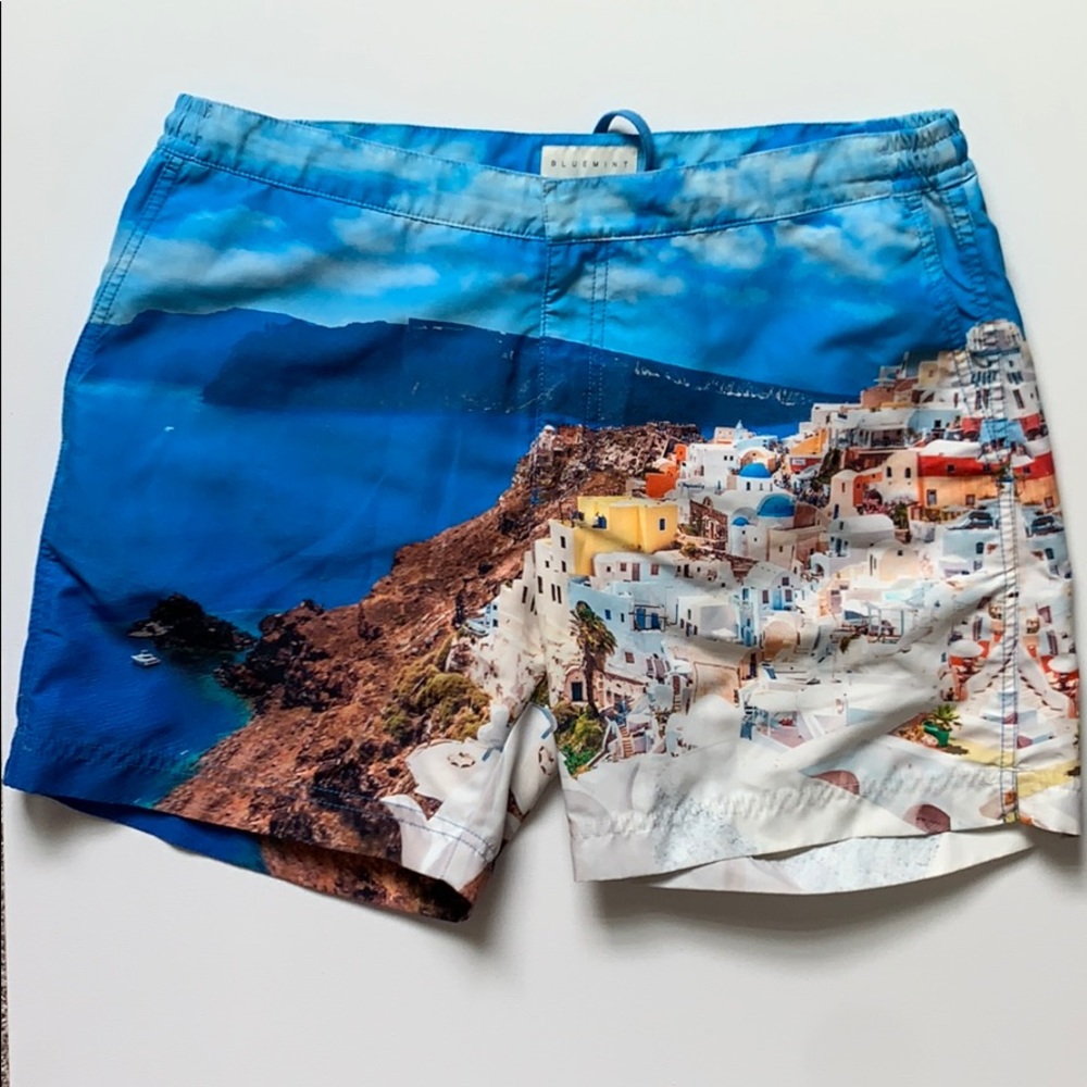 Bluemint Swim Trunks
